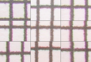 Nikon AF-P NIKKOR 18-55mm f/3.5-5.6G VR