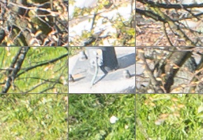 Panasonic Lumix S 24-105mm F4 Macro O.I.S.