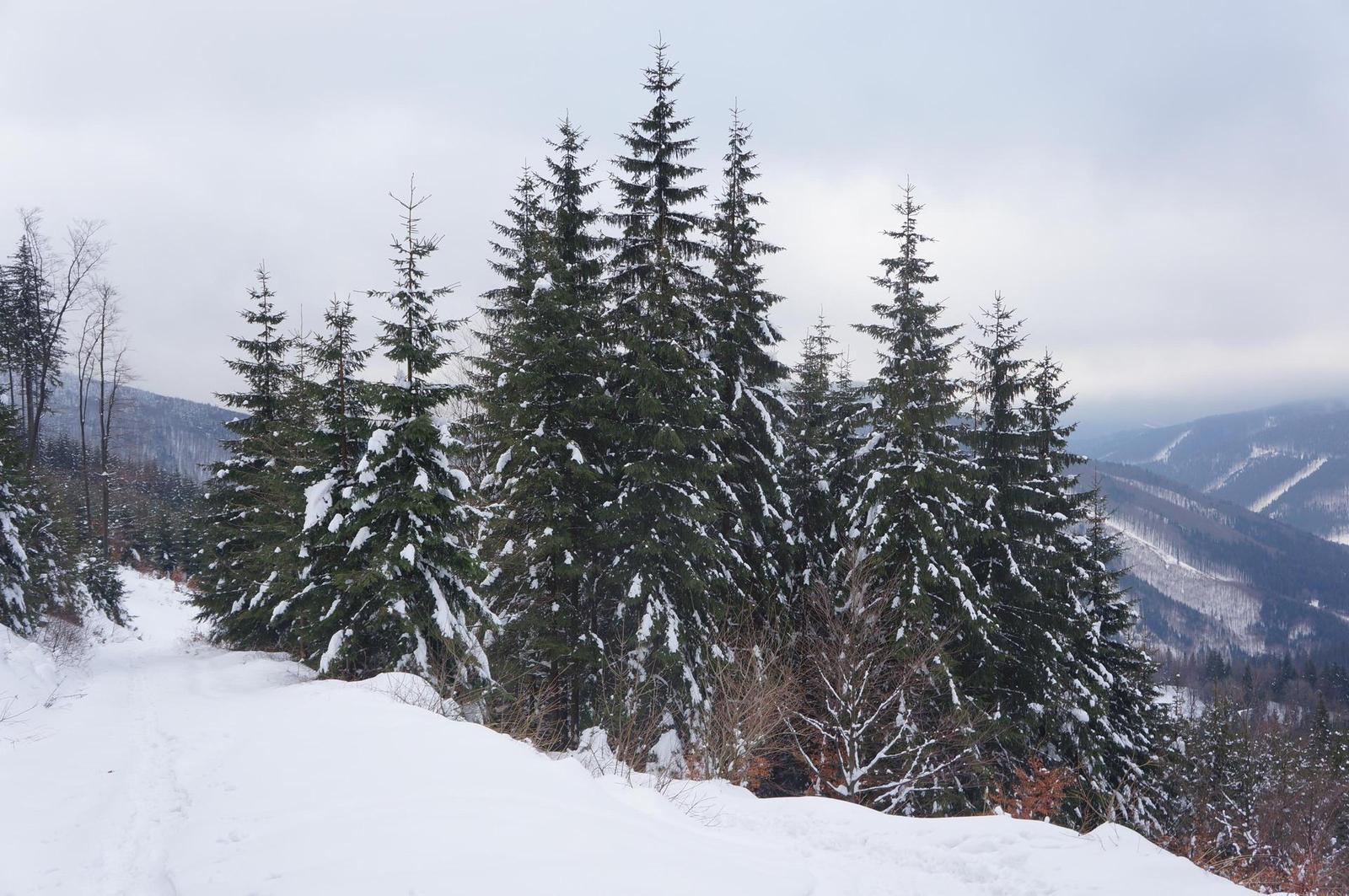 Sony NEX-5N: téměř ideální NEX