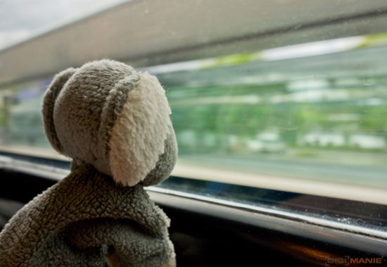 Koala cestuje: Slovinsko 1. díl (Maribor a Lublaň)