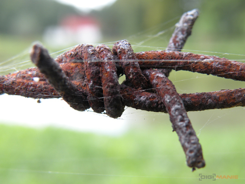 Nikon Coolpix P80: ultrazoom plný protikladů