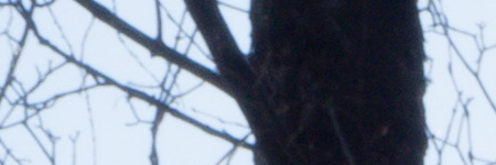 Olympus M.Zuiko Digital ED 14-42mm 1:3.5-5.6 EZ Pancake