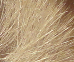 Sony Cyber-shot W350: šikovný prcek