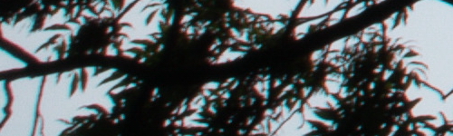 Canon EF-M 15-45mm f/3.5-6.3 IS STM