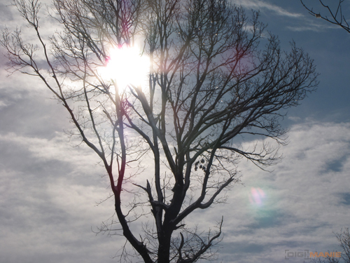 Canon PowerShot SX1 IS vs. SX10 IS: souboj CMOS a CCD