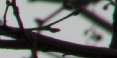 Fujifilm X-S1: jedinečný