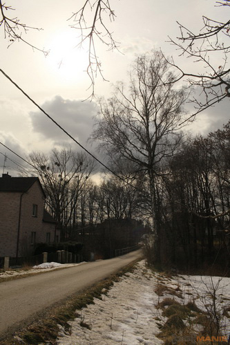 Canon EF 35mm f/1.4L USM