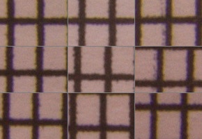 Canon EF-S 18-55mm F3,5-5,6 IS STM