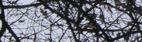 Panasonic Lumix FZ2000: ultrazoom nebo profi kamera?