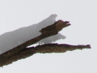 Dva objektivy nebo jeden ultrazoom?