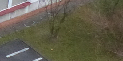 Panasonic Lumix FZ200: ultrazoomové překvapení roku