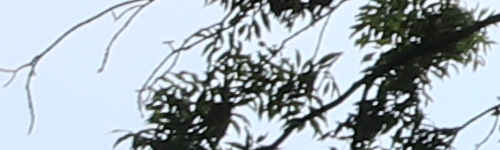 Canon EF-M 15-45mm f/3.5-6.3 IS STM