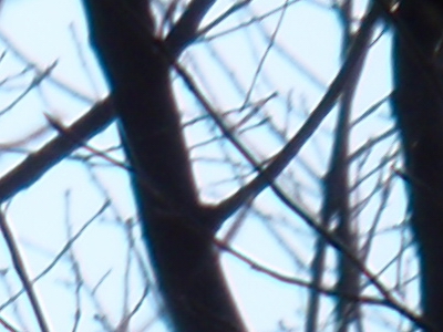 Olympus mju 9000: 10× ultrazoom v kompaktním balení