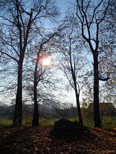 Samsung MV800: pro každý úhel i autoportréty