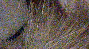 Panasonic Lumix LX100: pozoruhodný profi kompakt