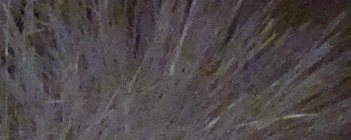 Nokia 808 PureView: mobilní zrcadlovkobijec