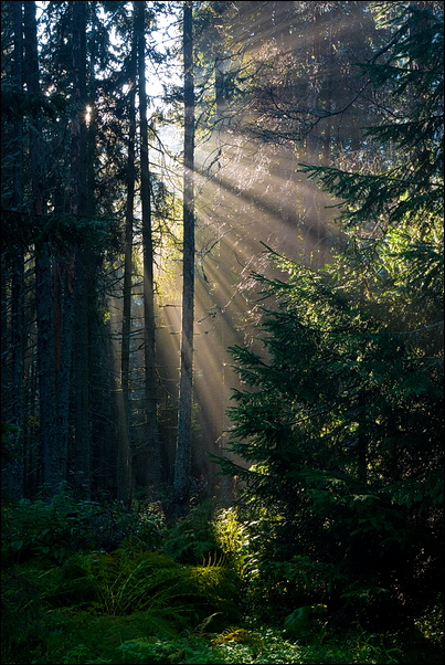 Hledání inspirace ve fotografii