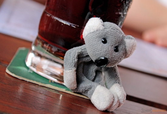 Fotíme s Koalou: Stabilizace