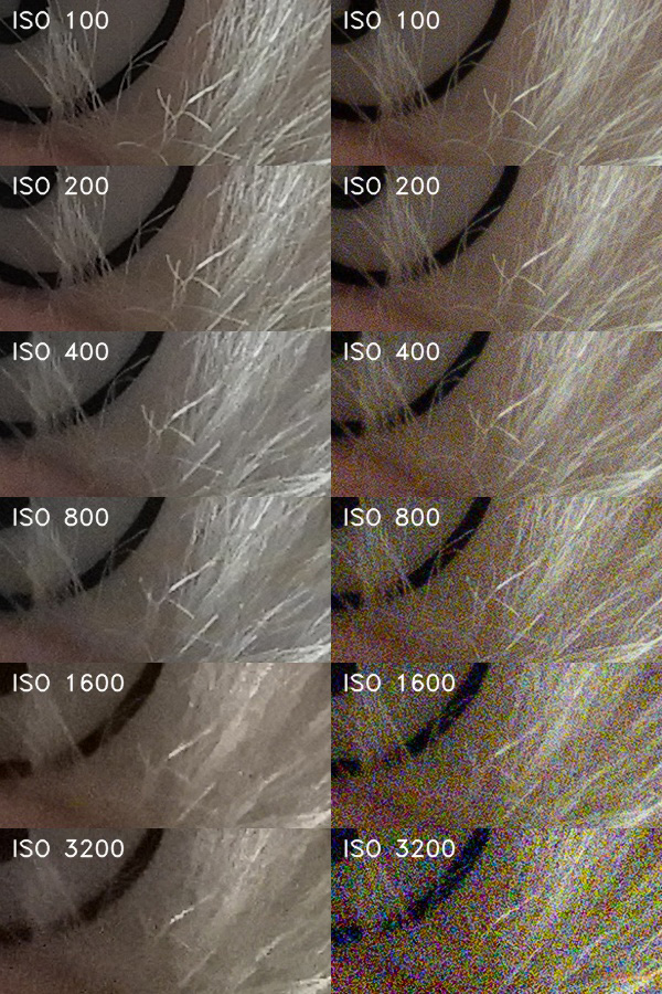 Nikon Coolpix B700: přírodovědec