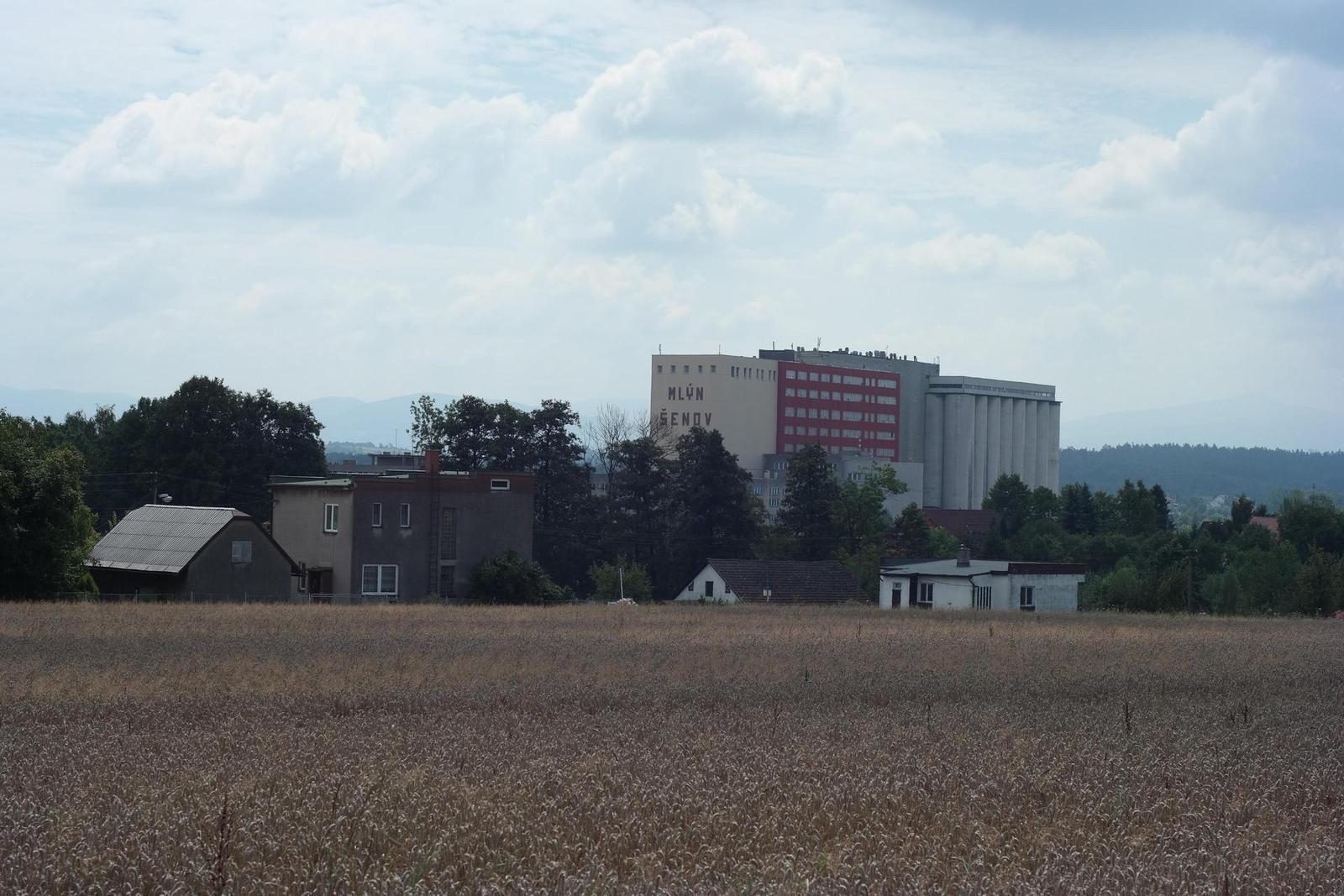 Olympus OM G.Zuiko 50mm f/1.4 "silver-nose"