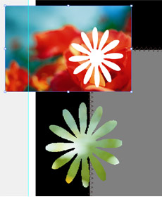 ACDSee Photo Editor 2008: větší rychlost a podpora alb