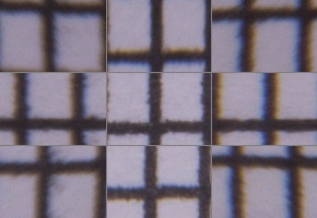 Tamron 16-300mm f/3.5-6.3 Di II VC PZD Macro