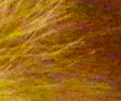 Pentax X70: neobyčejně univerzální kliďas