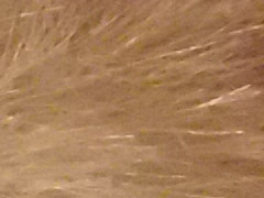 Olympus XZ-1: trefa do černého