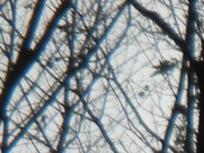 Nikon Coolpix S1100pj: kino v kompaktu