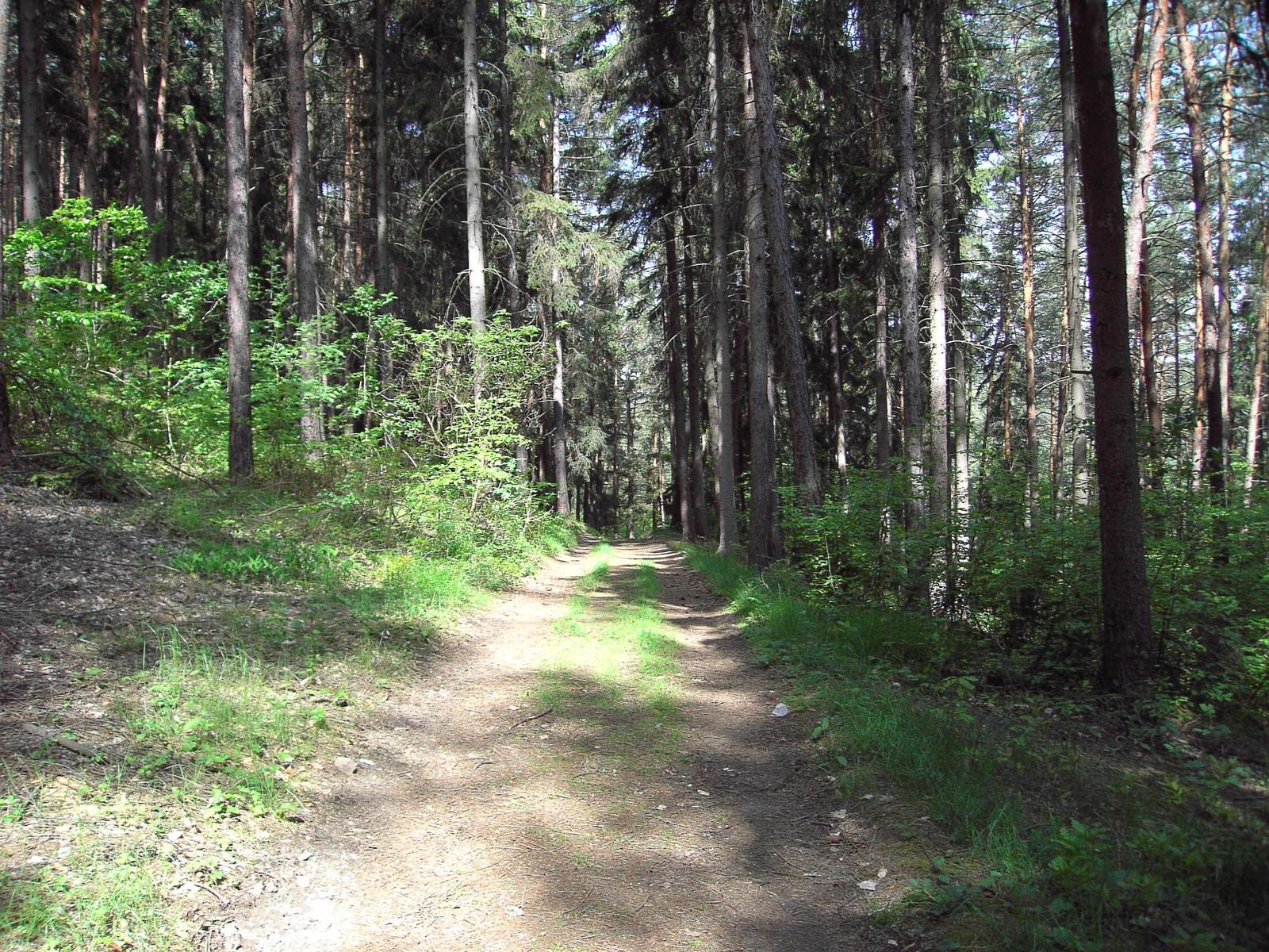 Konica Minolta Dimage E50 - pro každého něco...