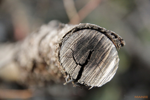 Megatest ultrazoomových objektivů
