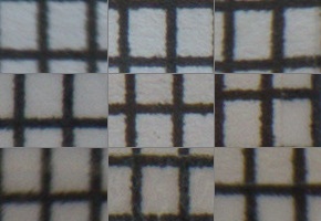 Sony E 55-210mm F4.5-6.3 OSS (SEL55210)