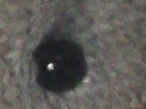 Fotíme s Koalou: Stabilizace