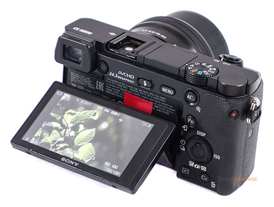Sony A6000 (ILCE-6000): stále dobrý