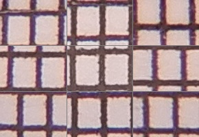 Nikon Coolpix A900: 4K do kapsy