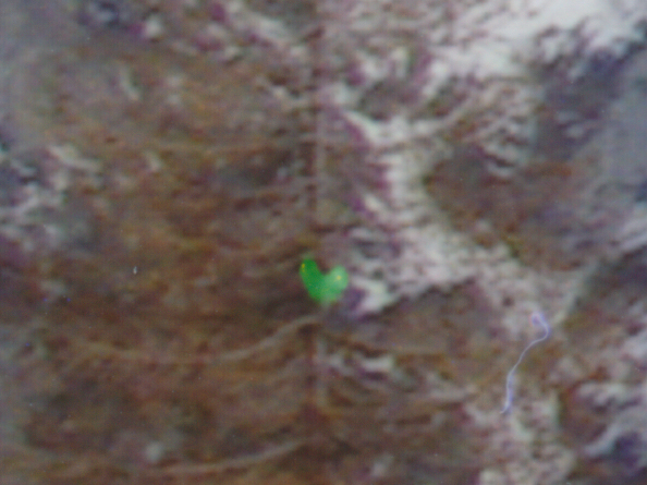 FinePix Printer QS-70: domácí fotolab?