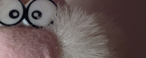 Nokia 808 PureView: mobilní zrcadlovkobijec