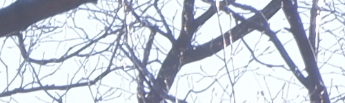 Fujinon XC 15-45mm 1:3.5-5.6 OIS PZ