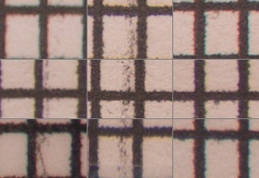 Olympus M.Zuiko Digital ED 12-50mm 1:3,5-6,3 EZ