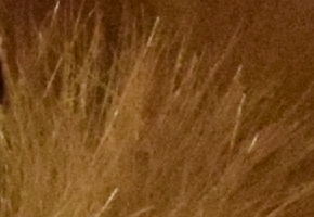 Nikon D5300: bezdrátový DSLR turista