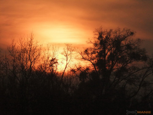 Fujifilm FinePix F300EXR: klame tělem