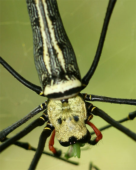 Jak je to s crop faktorem objektivu – 2.díl