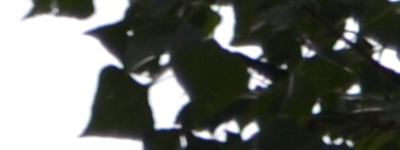 Nikon 18-55mm f/3,5-5,6G AF-S DX VR