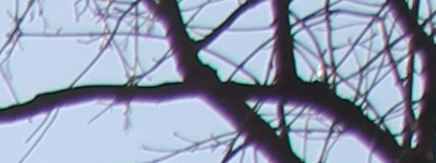 Megatest ultrazoomových objektivů