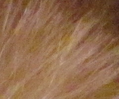 Canon PowerShot SX120 IS: zraje jako víno