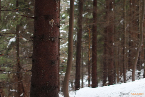 Samyang 35mm F1.4 AS UMC (pro Canon)