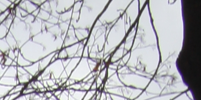 Samyang 35mm F1.4 AS UMC (pro Canon)