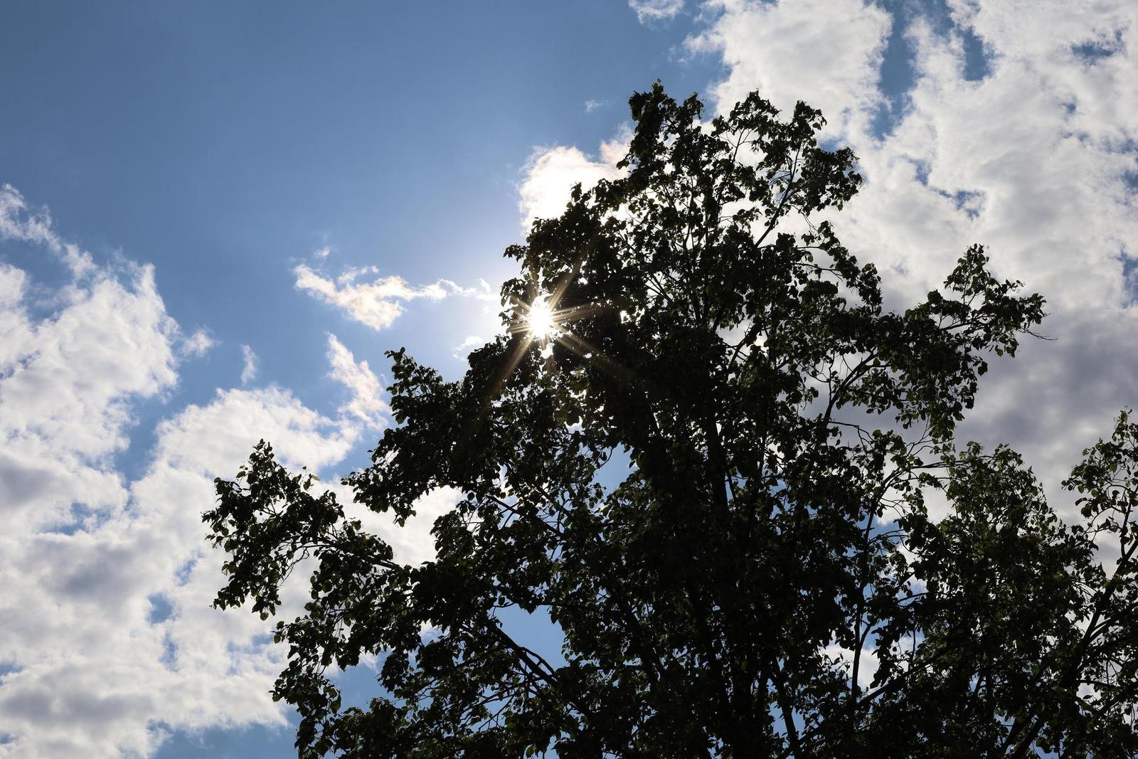 Canon EF 50mm f/1.4 USM