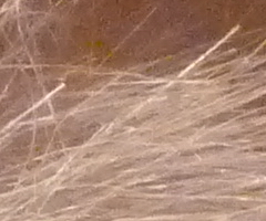 Panasonic Lumix FZ45 a FZ100: na vrcholu