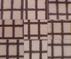 Panasonic Lumix TZ10: kapesní dělo